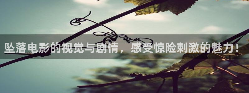 神马电影午夜伦理：坠落电影的视觉与剧情，感受惊险刺激的魅力！